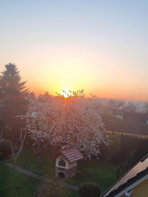 Ferienwohnung *Zur Weinbergstrasse* Lauta Eksteriør bilde