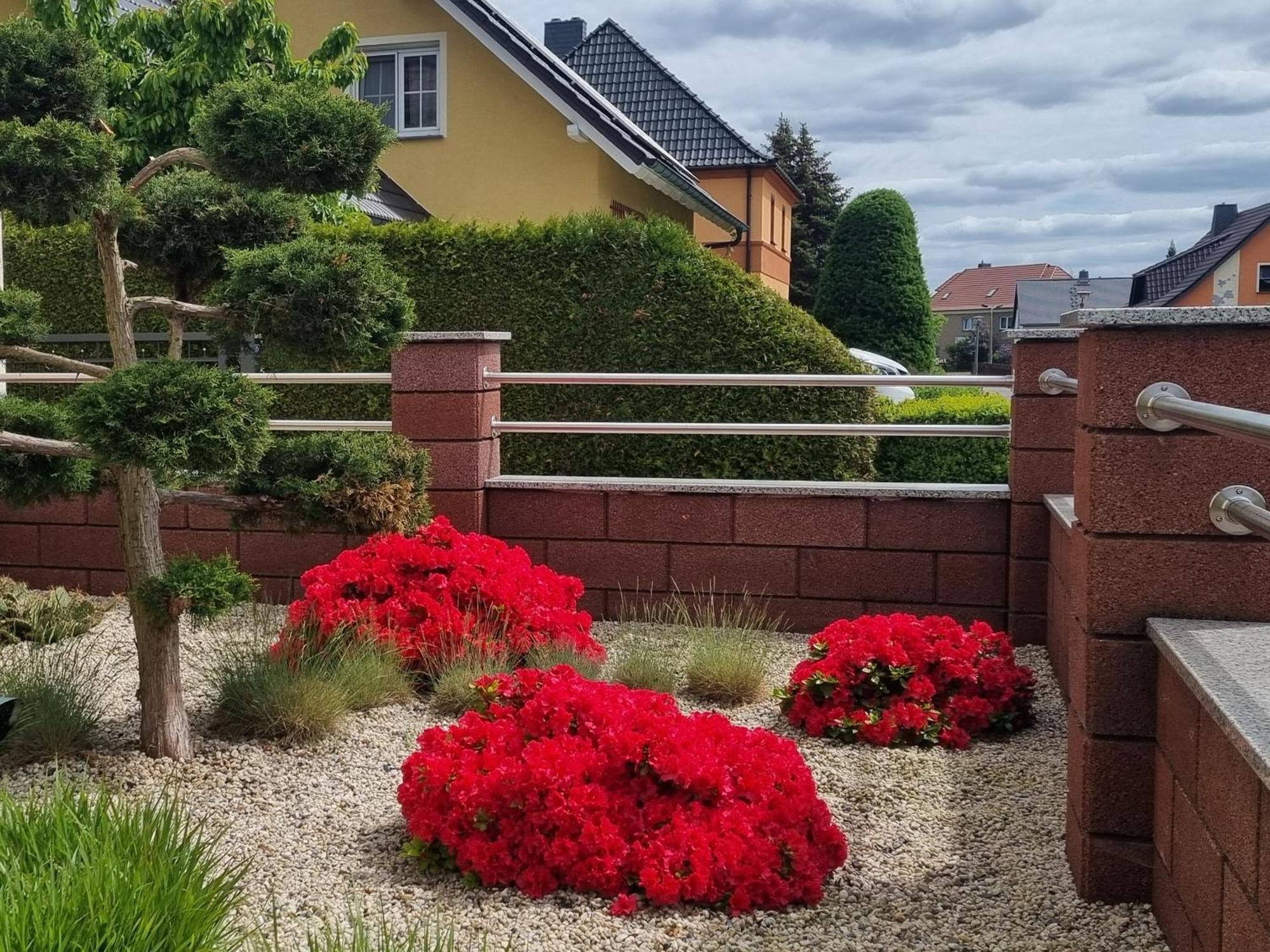 Ferienwohnung *Zur Weinbergstrasse* Lauta Eksteriør bilde
